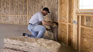 Best Attic Insulation Installation  in Cibecue, AZ